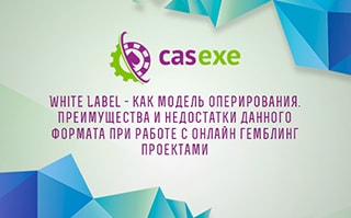 CASEXE подвела итоги вебинара, посвященного White Label